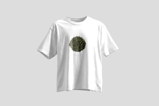 Tee — Lishan GABA Oolong