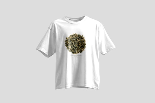 Wear — Ālǐshān Zhū Lù Chá
