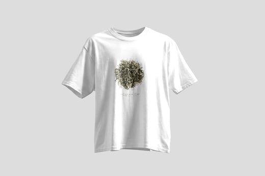 Tee — Yunnan Mao Feng Green Tea
