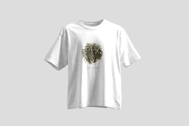 Tee — Yunnan Mao Feng Green Tea