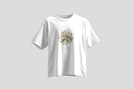 Wear — Bái Jiān